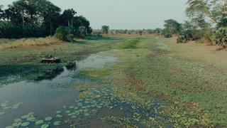 Protectors of the Delta Protectors of the Delta