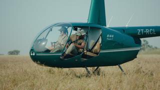 View From the Top View From the Top