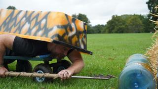 Elephant Seals and Sea Gooseberry Elephant Seals and Sea Gooseberry