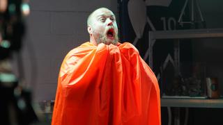 Sea Turtles and Stylish Squids Sea Turtles and Stylish Squids