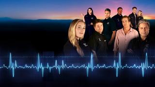 Feathered Symphony Feathered Symphony