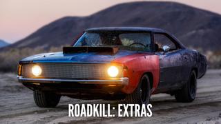 New Daily Roadkill Show!