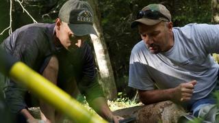 There's Gold in Them Thar Georgia Hills There's Gold in Them Thar Georgia Hills