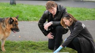 Bark and Bite Bark and Bite