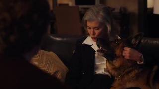 Wag the Dog Wag the Dog