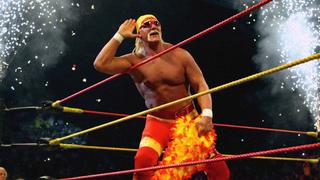 Hulk Hogan Hulk Hogan