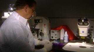 Cold Case Files
