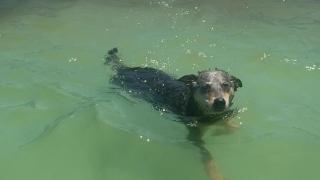 Escape Artists Escape Artists