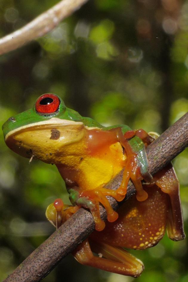 Extraordinary Ecosystems