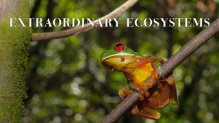 Extraordinary Ecosystems