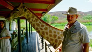 The Animals of Oudtshoorn