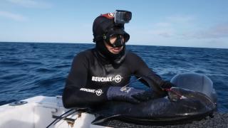 Just Another Fijian Just Another Fijian