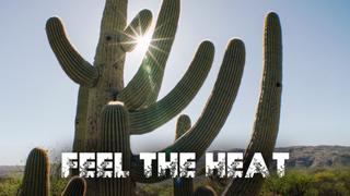Feel the Heat