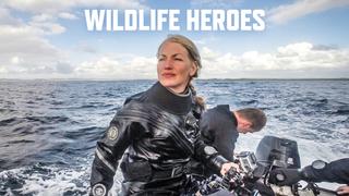 Wildlife Heroes