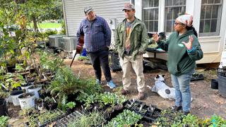 After Lawn Special After Lawn Special