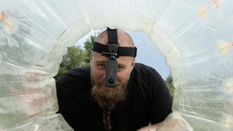 Sea Otters and Frog Fish