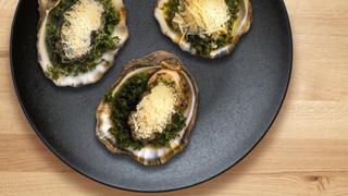 B is for Bivalves
