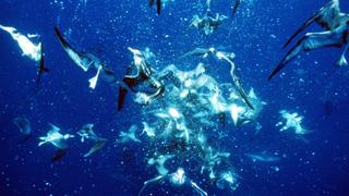 Planet Earth: The Blue Planet