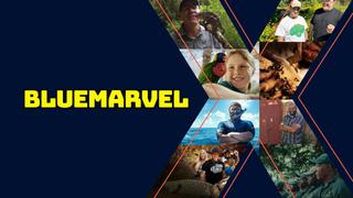 BlueMarvel