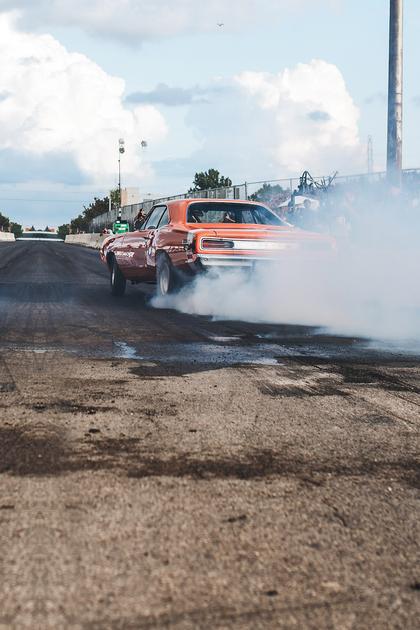 Roadkill Nights