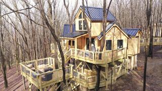 Maryland Treehouse Maryland Treehouse