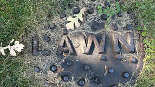 We Gotta Guy We Gotta Guy