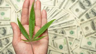 Discover the Power of CBD