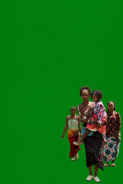 On Becoming a Guinea Fowl