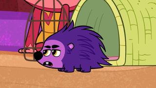 How to Train Your Porcupine; Happy Snaps