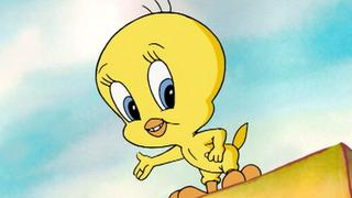 Cat-Taz-Trophy; Duck! Monster! Duck! Cat-Taz-Trophy; Duck! Monster! Duck!