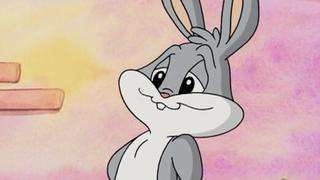 Baby Looney Tunes