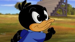 Bend It Like Petunia; Cock-a-Doodle-Doo-It!