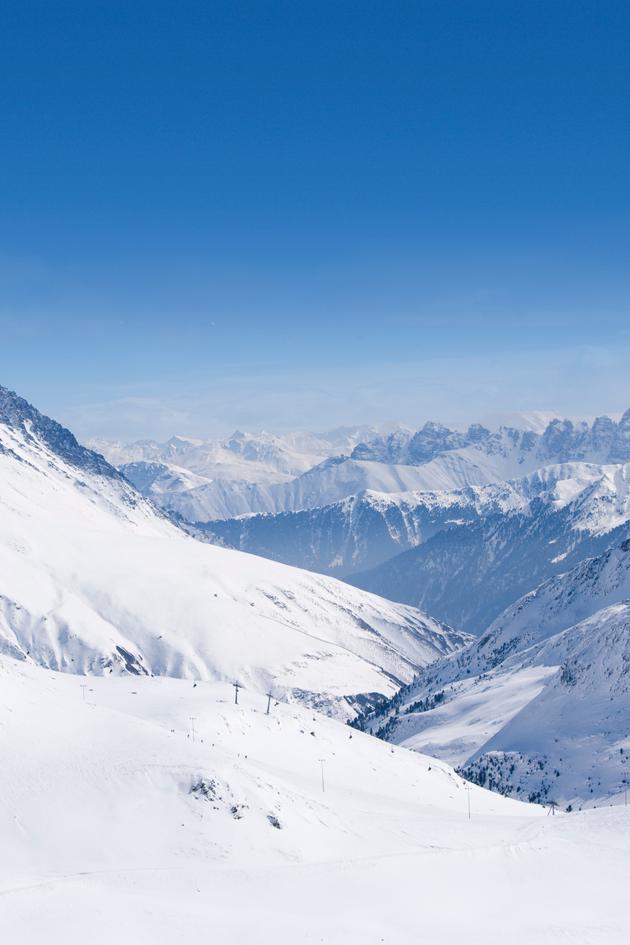 Natural Selection Tour 2024