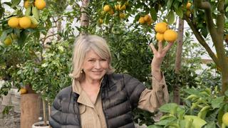 Growing Citrus