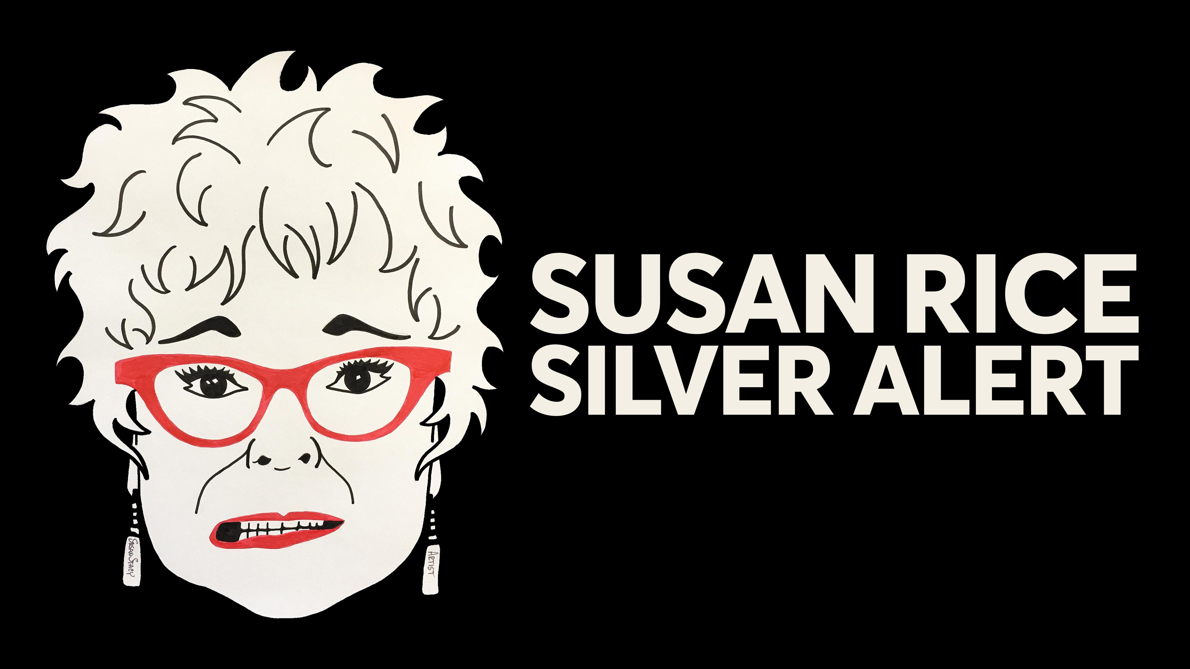 Watch Susan Rice: Silver Alert Streaming on Philo
