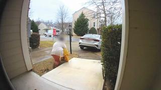 Security Cam Chaos