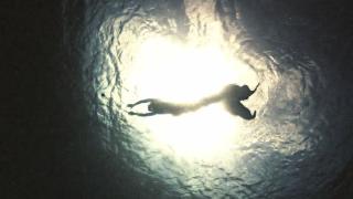 Paranormal Caught on Camera