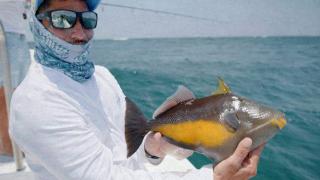 Expedition: Dry Tortugas, Part One Expedition: Dry Tortugas, Part One