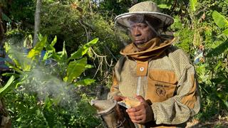 Westmoreland - Jamaica Westmoreland - Jamaica