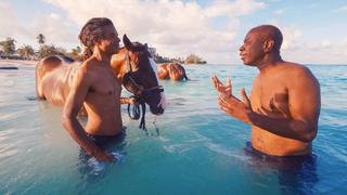 Platinum Coast - Barbados