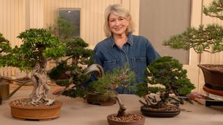 Container Gardening Made Easy Container Gardening Made Easy
