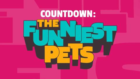 Countdown: The Funniest Pets