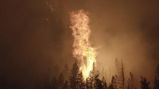 Wildfire