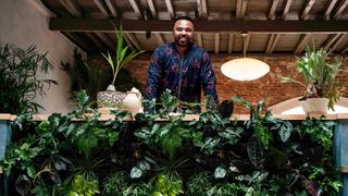 Plant Wall Paradise