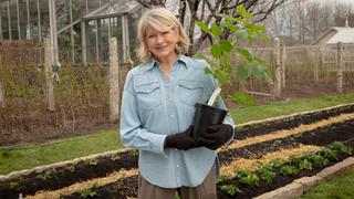 Growing Fruit and Berries