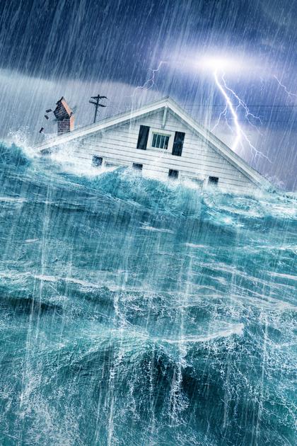 In the Eye of the Storm