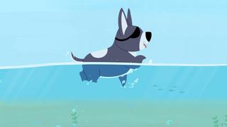 Swim Class