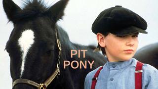 watch Pit Pony