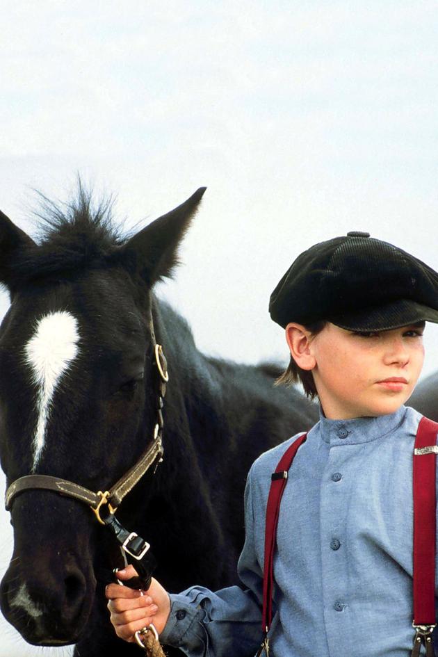 Pit Pony