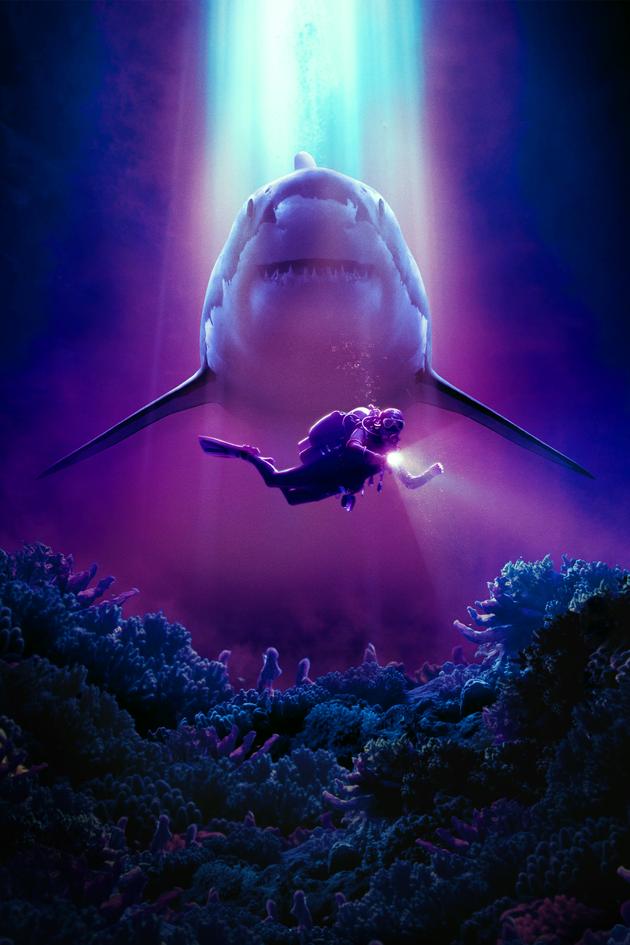 Big Shark Energy